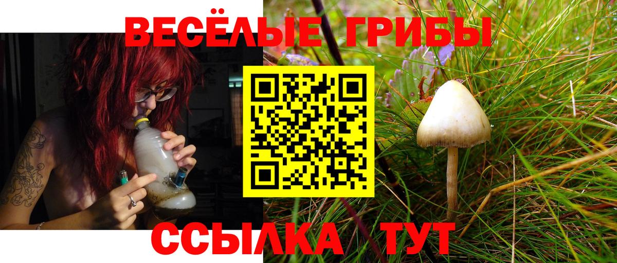 Псилоцибиновые грибы MAGIC MUSHROOMS Троицк