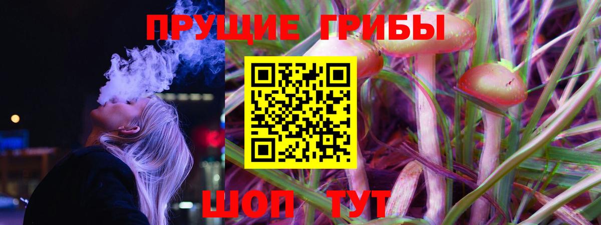Троицк  Галлюциногенные грибы MAGIC MUSHROOMS  Псилоцибиновые грибы Psilocybine cubensis  наркота  Вход с VPN 